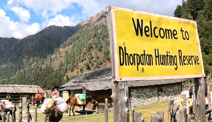 पर्यटकले ढोरपाटनका होटल भरिभराउ